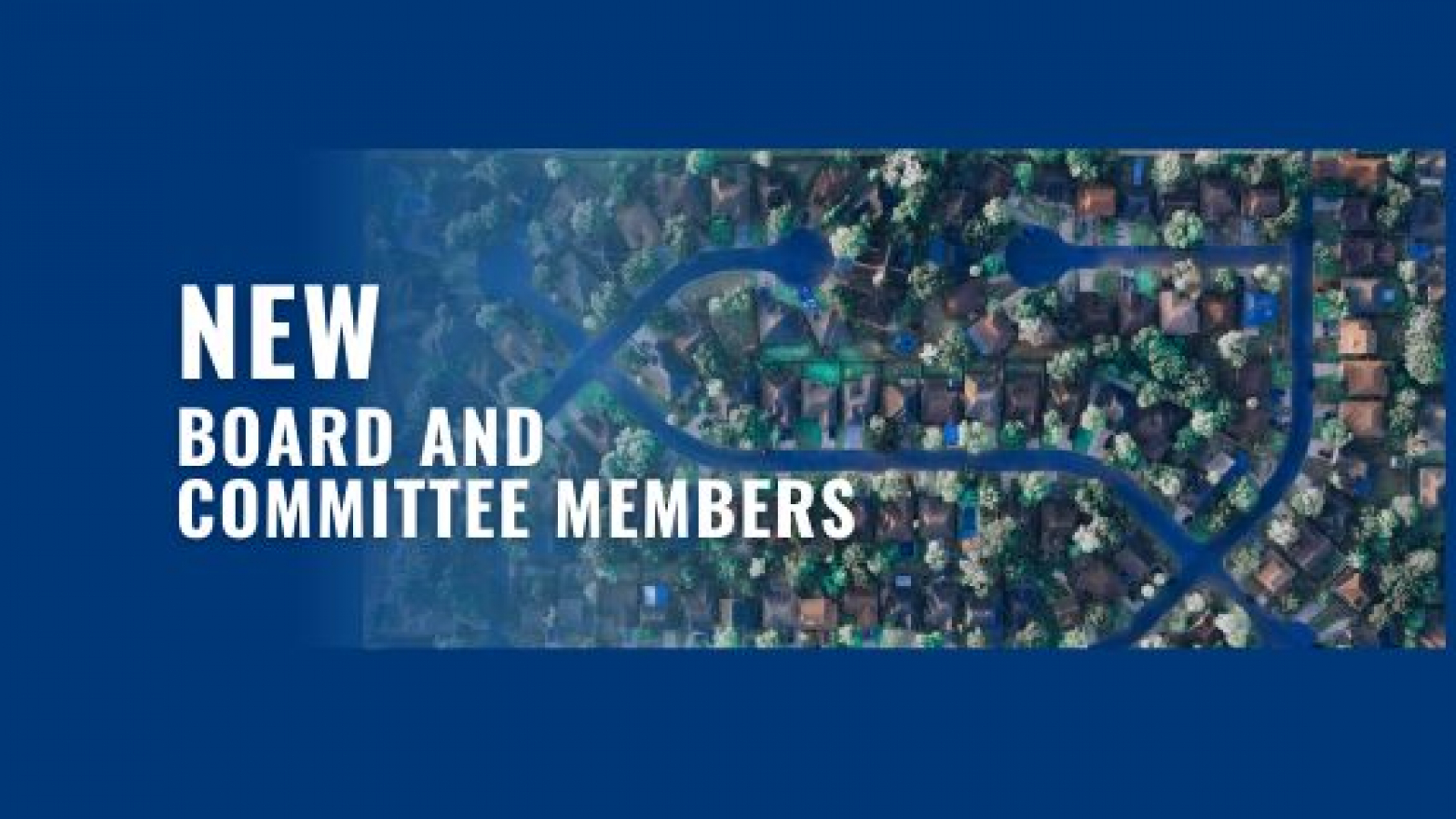 Training Board and Committee Member